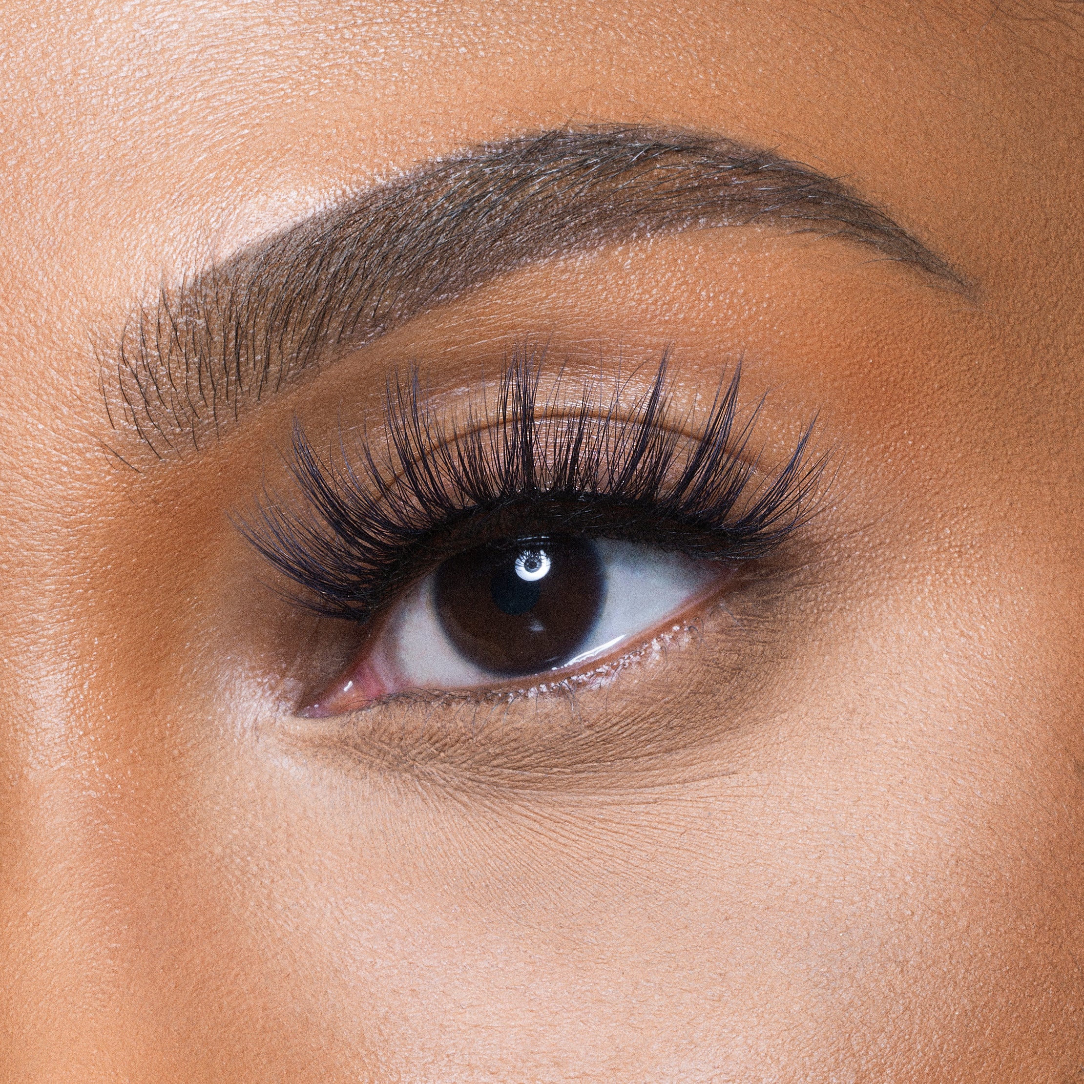 The Nubian Lashes - Egypt Lite - Image 3